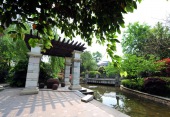 深圳地區(qū)園林景觀樹(shù)木的選擇